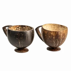 Thenga Coconut Shell Teacup